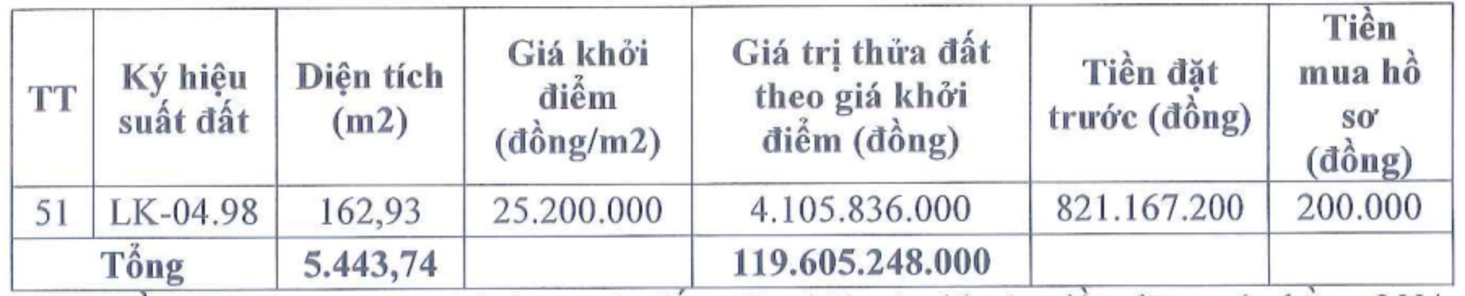 Thong tin 51 thua dat trong phien dau gia ngay 31.5. Anh:
