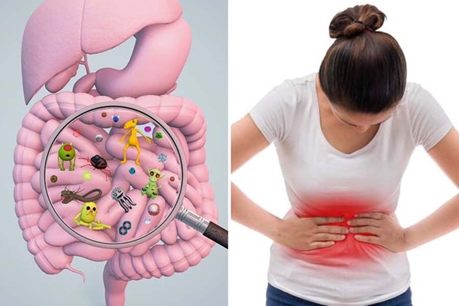 The post-meal bowel test below will help you quickly recognize signs of digestive health. Graphics: Thanh Thanh
