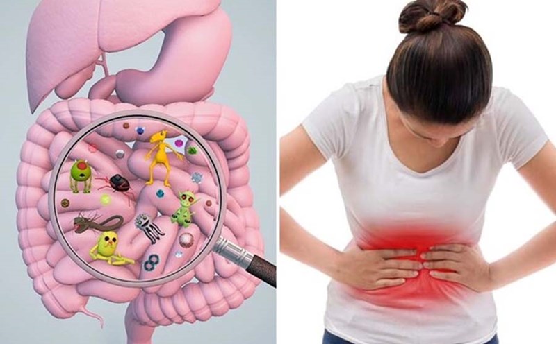 The post-meal bowel test below will help you quickly recognize signs of digestive health. Graphics: Thanh Thanh