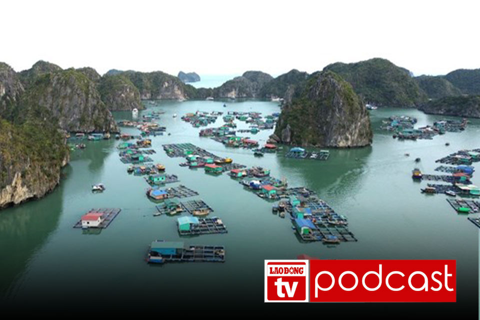 Morning news 20.5: Hai Phong is about to have 2 special zones after arranging administrative units