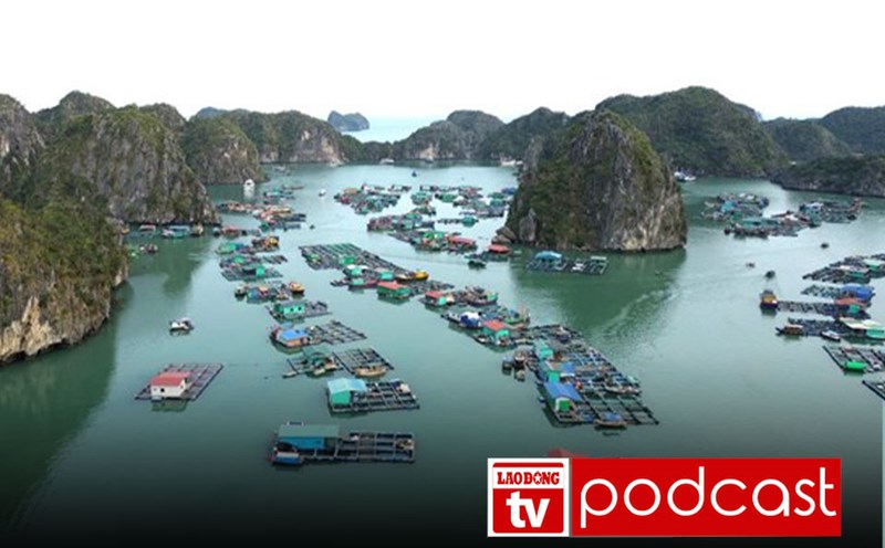 Morning news 20.5: Hai Phong is about to have 2 special zones after arranging administrative units