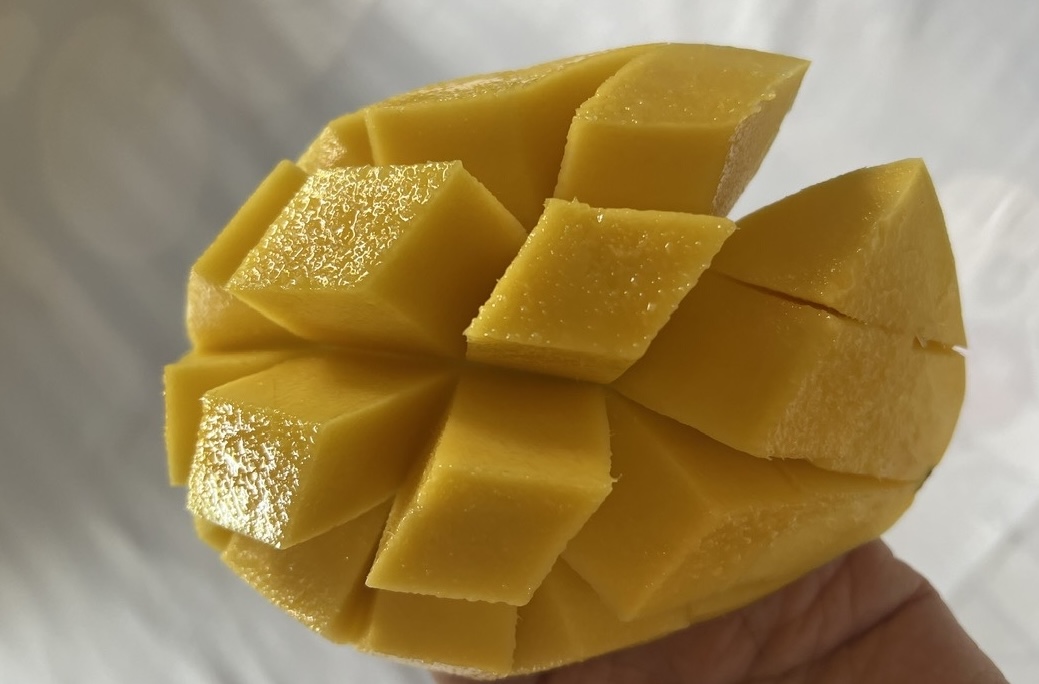 Comer demasiado mango maduro puede conducir al riesgo de higado graso. Foto: Kieu Vu