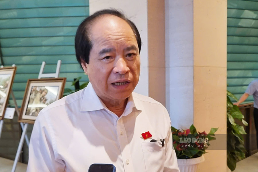 Dai bieu Truong Xuan Cu. Anh: To The
