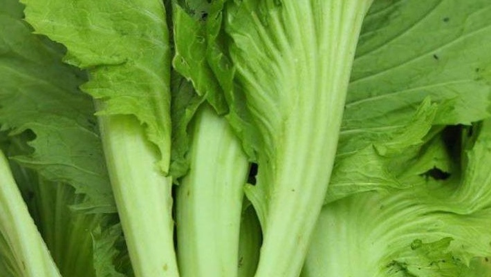 Muscle gain and fat loss can be effectively supported when adding mustard greens to the diet. Photo: Kieu Vu
