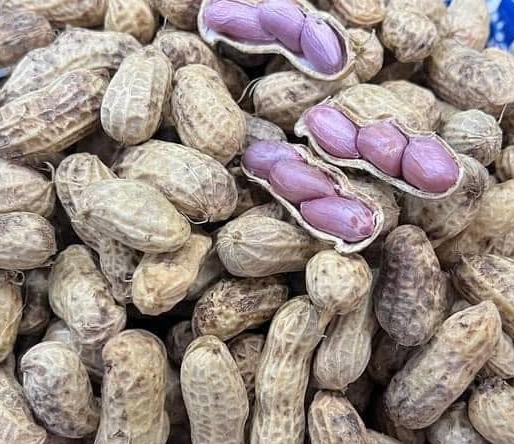 Las personas de alto acido urico y la gota deben prestar atencion al comer mani. Foto: Kieu Vu