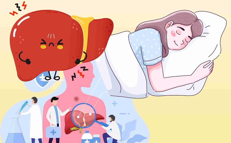 The golden principle helps people with liver disease sleep well every night. Graphics: Dinh Dinh