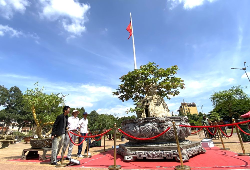 Hundreds of years old lenses have a unique shape on display at the exhibition. Photo: Thanh Quynh