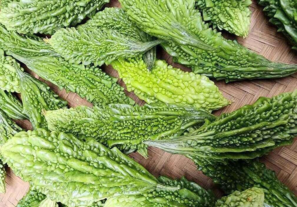 Drinking bitter melon juice at the right time of the day will help control blood sugar. Photo: Kieu Vu