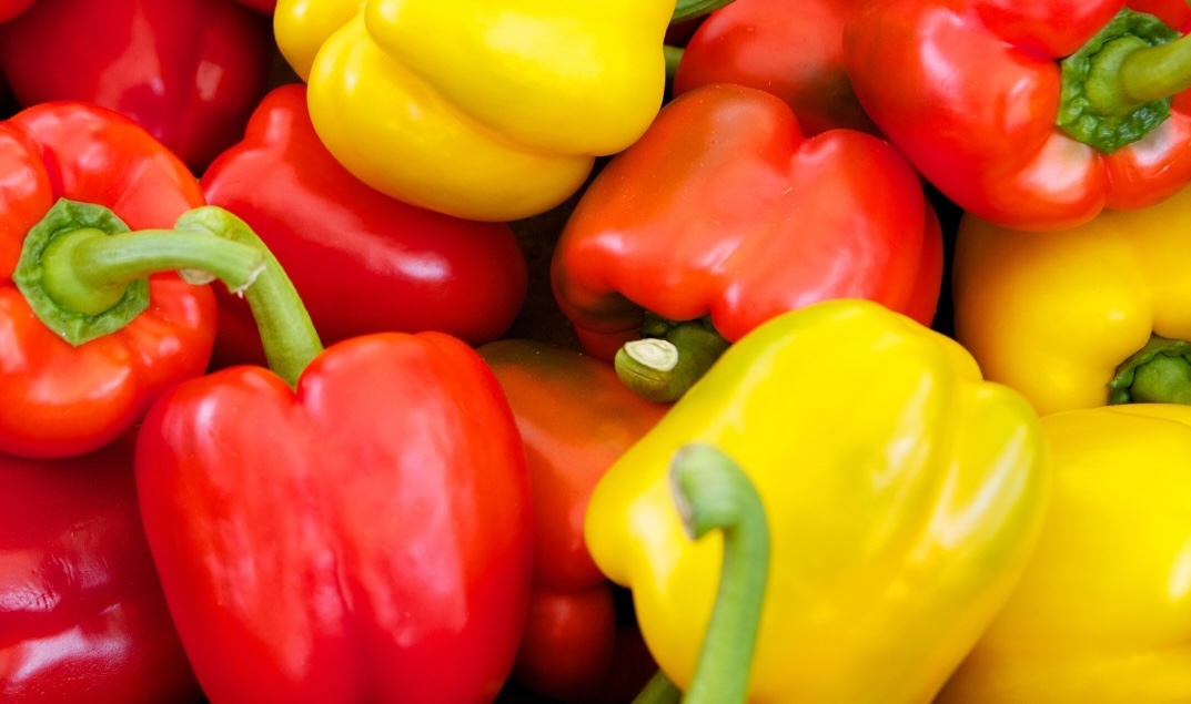bell peppers are a food that is said to be a good support for people with kidney failure. Photo: Kieu Vu