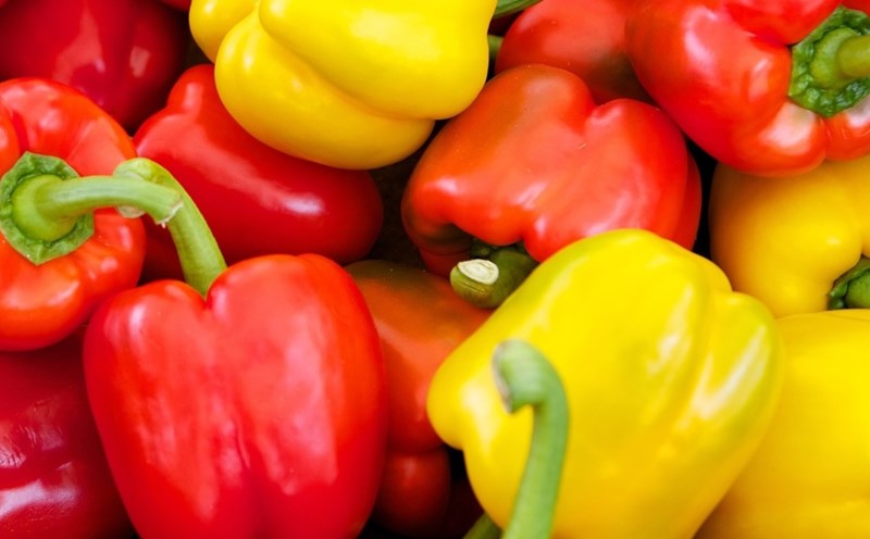 bell peppers are a food that is said to be a good support for people with kidney failure. Photo: Kieu Vu