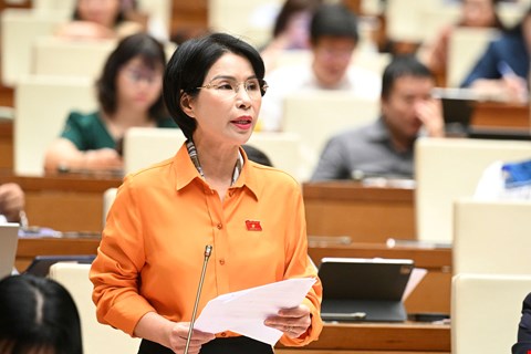 Dai bieu Tran Thi Nhi Ha - Doan DBQH TP. Ha Noi