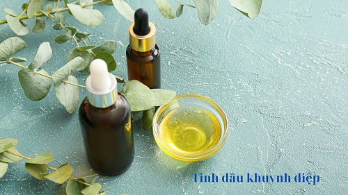 Loi ich cua tinh dau khuynh diep doi voi lan da va mai toc. Do hoa: Minh Hoang
