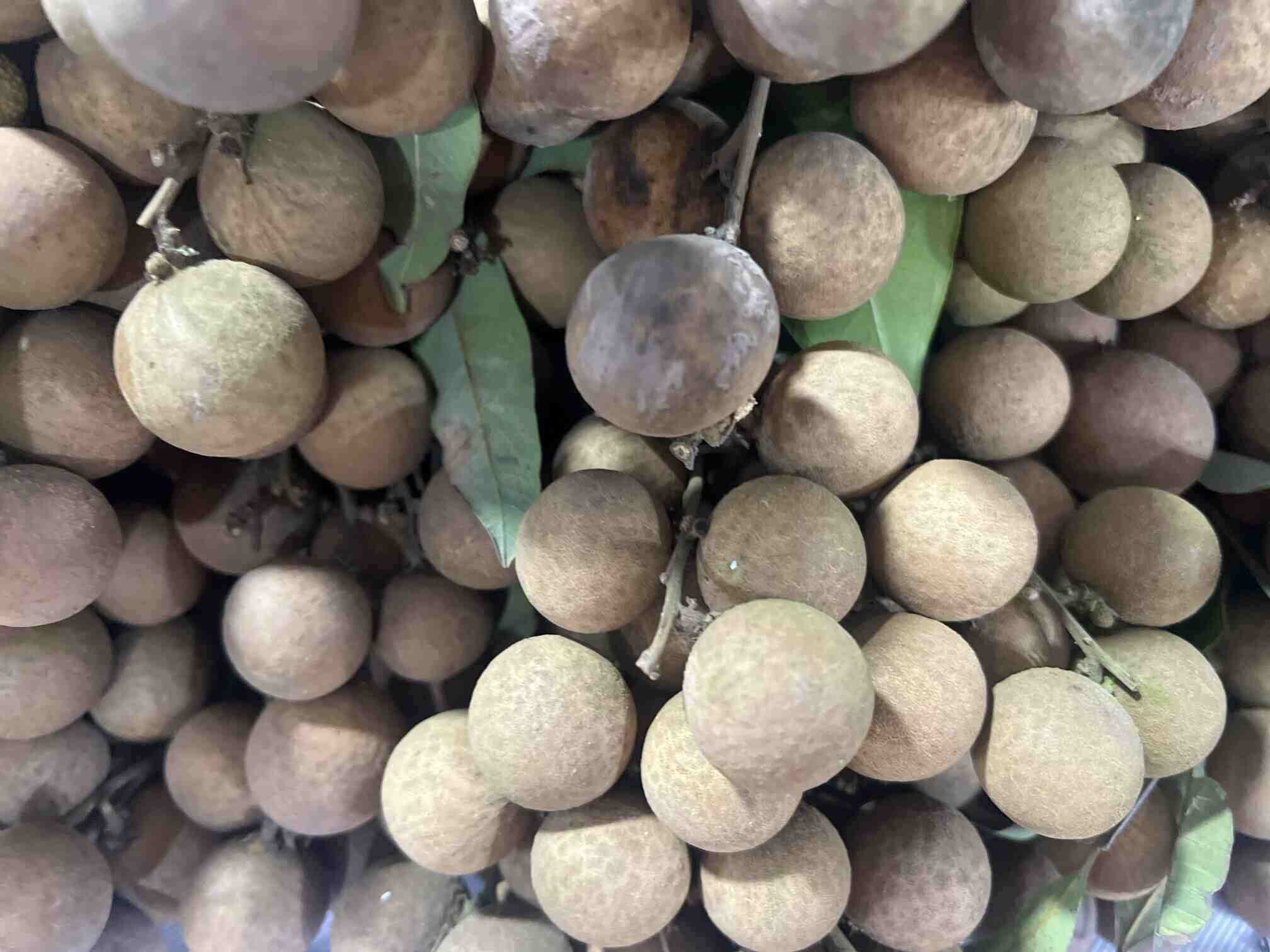 Las personas de higado graso deberian prestar atencion a algunos puntos al comer Longan. Foto: Kieu Vu