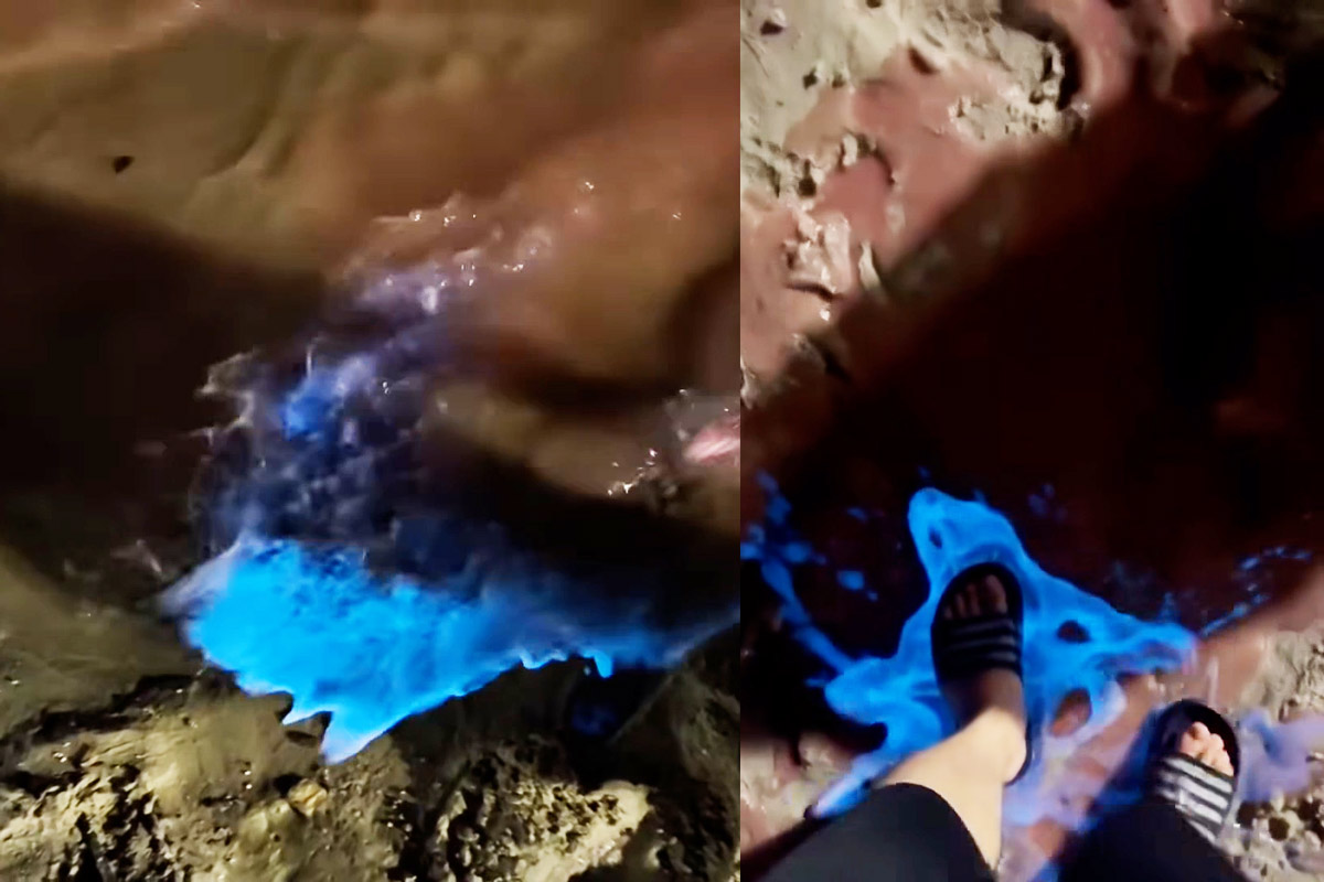 Green light appears on the coast when there is human impact. Photo: Provided by the people