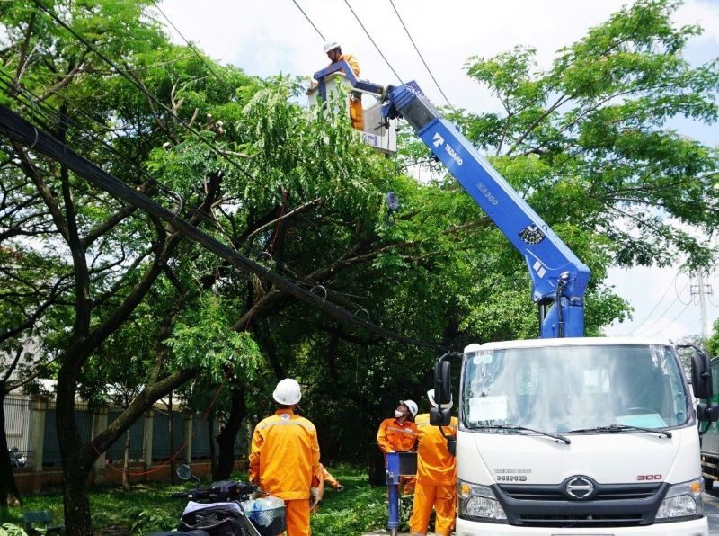 EVNHCMC workers handle tree branches to ensure electrical safety during the rainy and stormy season. Photo: Provided by EVNHCMC