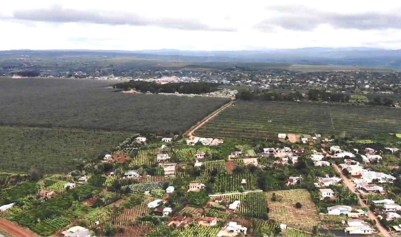 Krong Nang es un distrito con una gran area, tierra, clima y un adecuado para desarrollar arboles frutales. Foto: Phan Tuan