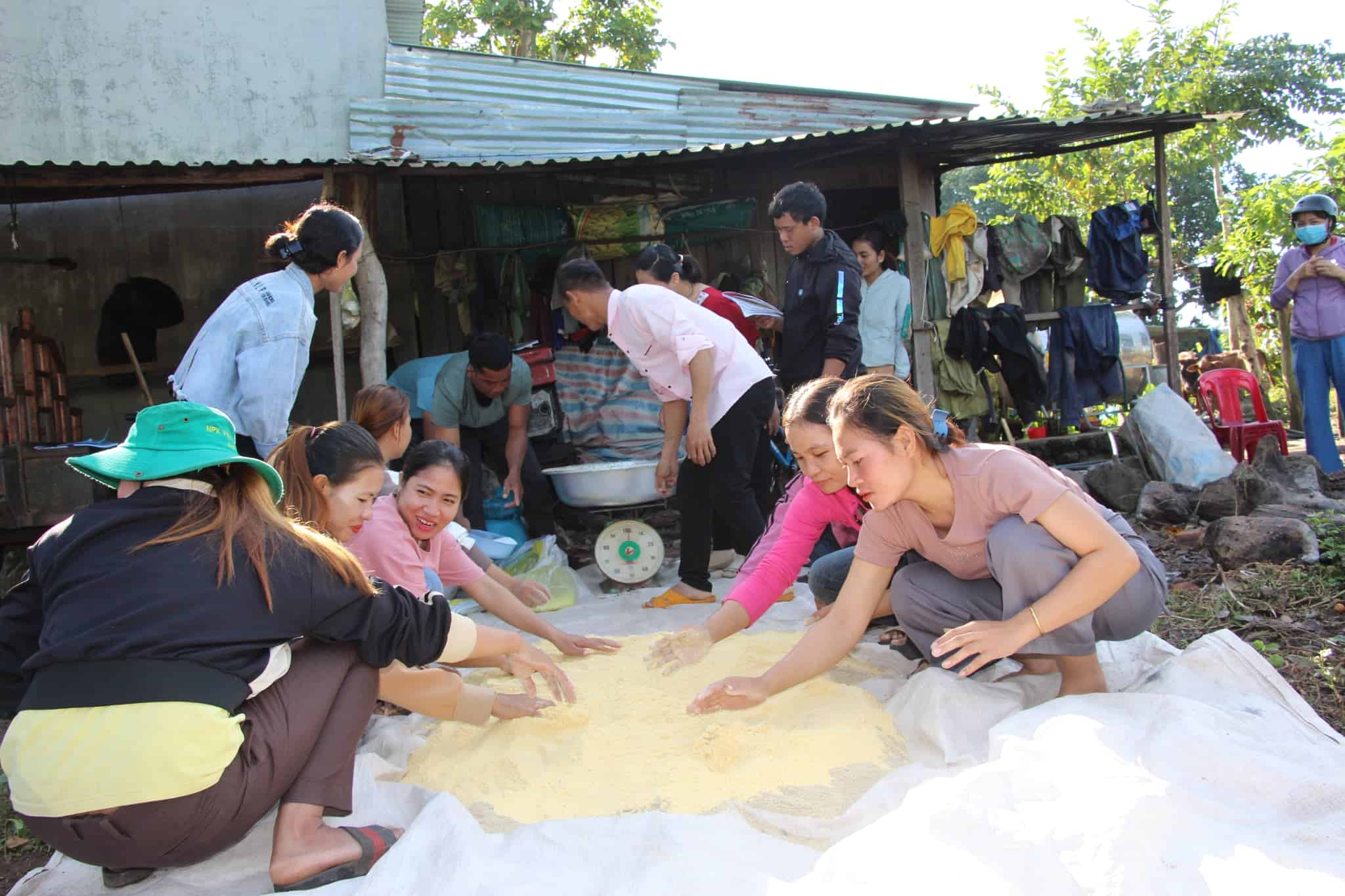 El distrito de Buon Don capacita a capacitacion vocacional para crear empleos para trabajadores de minorias etnicas. Foto: Bao Lam