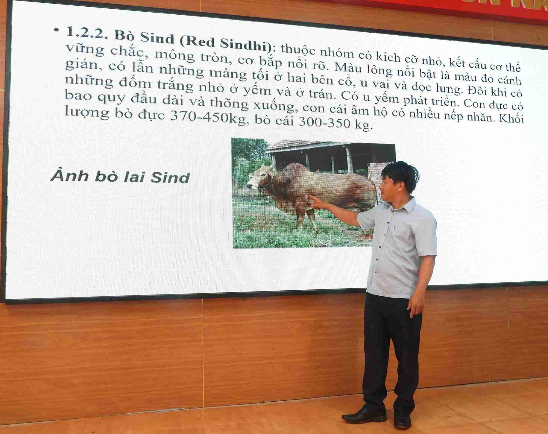 Giao trinh sat voi thuc tien de nguoi dan de nam bat. Anh: Bao Trung