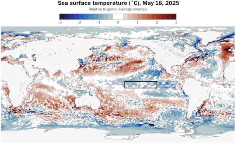 El mar relativamente frio en el area ecuatorial del Pacifico es una de las señales significativas para la temporada de tormentas de 2025. Foto: NOAA