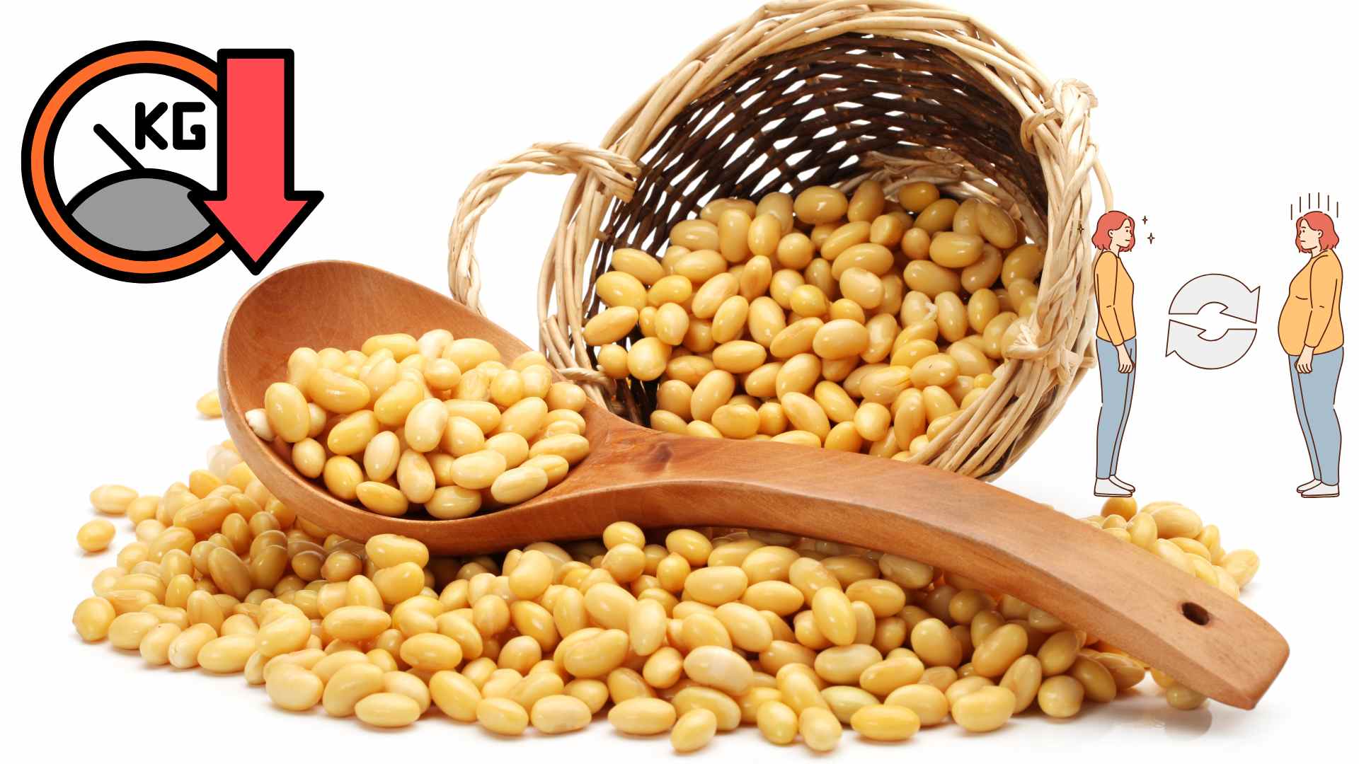 Soybeans can improve your metabolic rate and lose weight. Graphics: Ha May