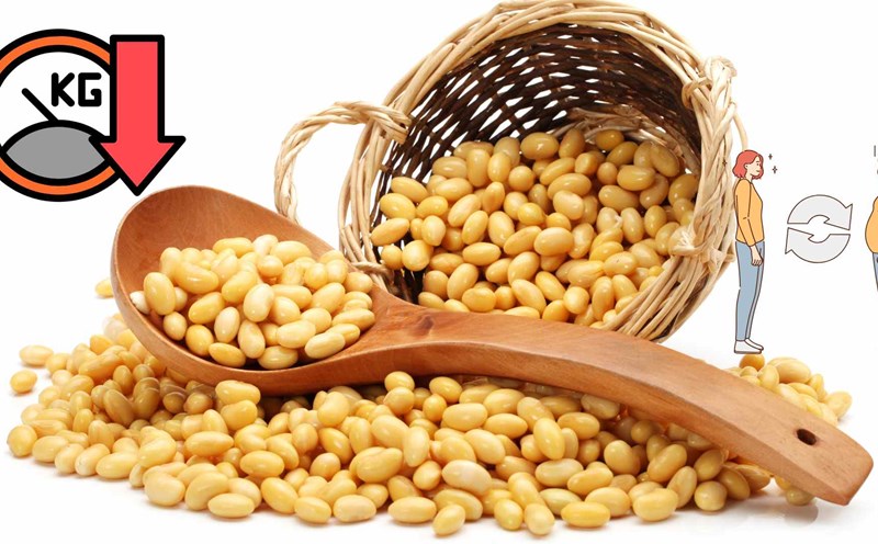 Soybeans can improve your metabolic rate and lose weight. Graphics: Ha May