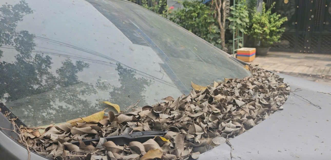 Image of a 7-seat car that has not been seen by its owner in Ho Chi Minh City for more than a year. The police are investigating. Photo: Dong Hoang