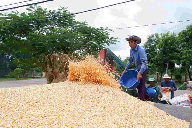 Buôn Đôn nâng cao ý thức chấp hành pháp luật, giải quyết việc làm cho người dân
