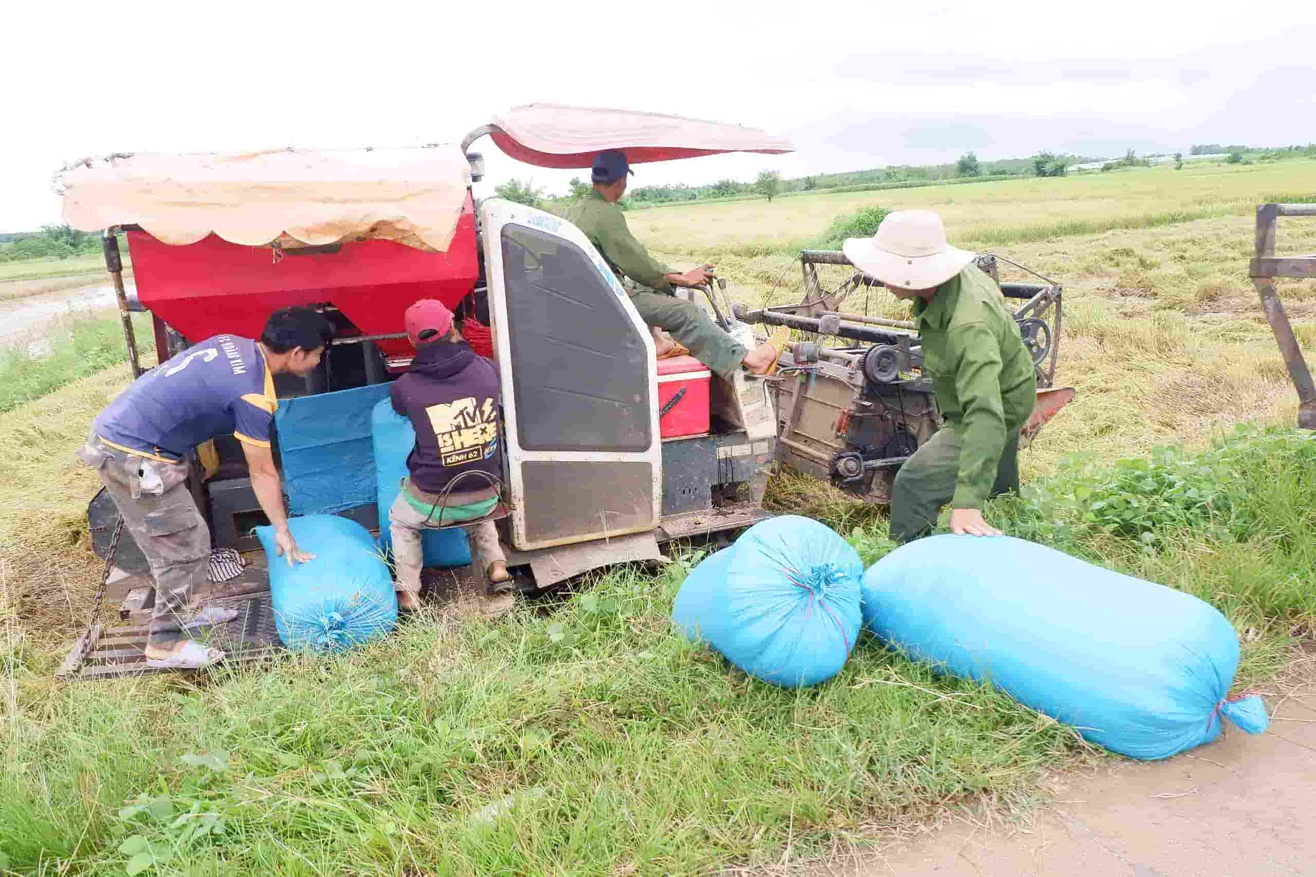 Lao động nông thôn được hỗ trợ vốn để sản xuất, nuôi trồng. Ảnh: Bảo Lâm 