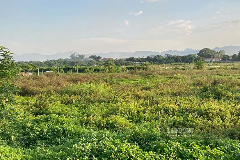 aa