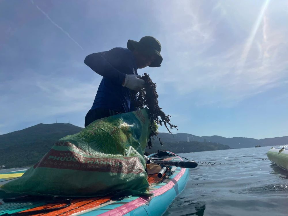 Los voluntarios se sumergen profundamente, recogen basura para rescatar a Coral en Da Nang. Foto: Tran Thi