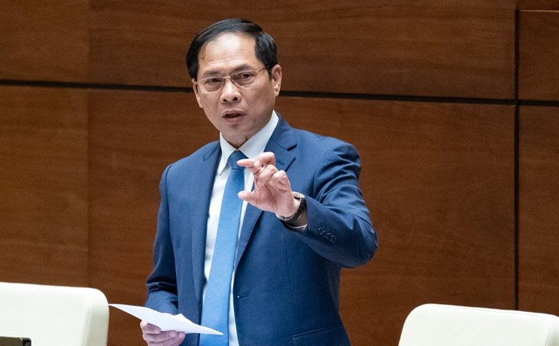 Member of the Party Central Committee, Deputy Prime Minister, Minister of Foreign Affairs Bui Thanh Son. Photo: Quochoi.vn