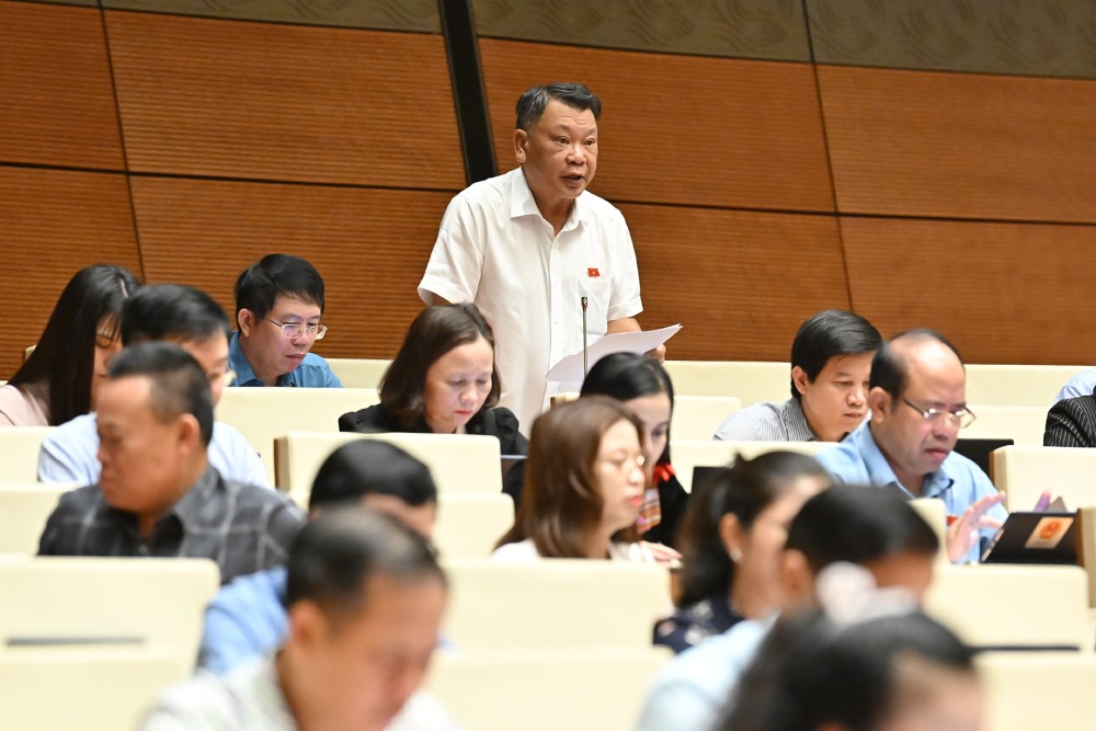 Đại biểu Quốc hội Nguyễn Tạo phát biểu. Ảnh: Phạm Đông