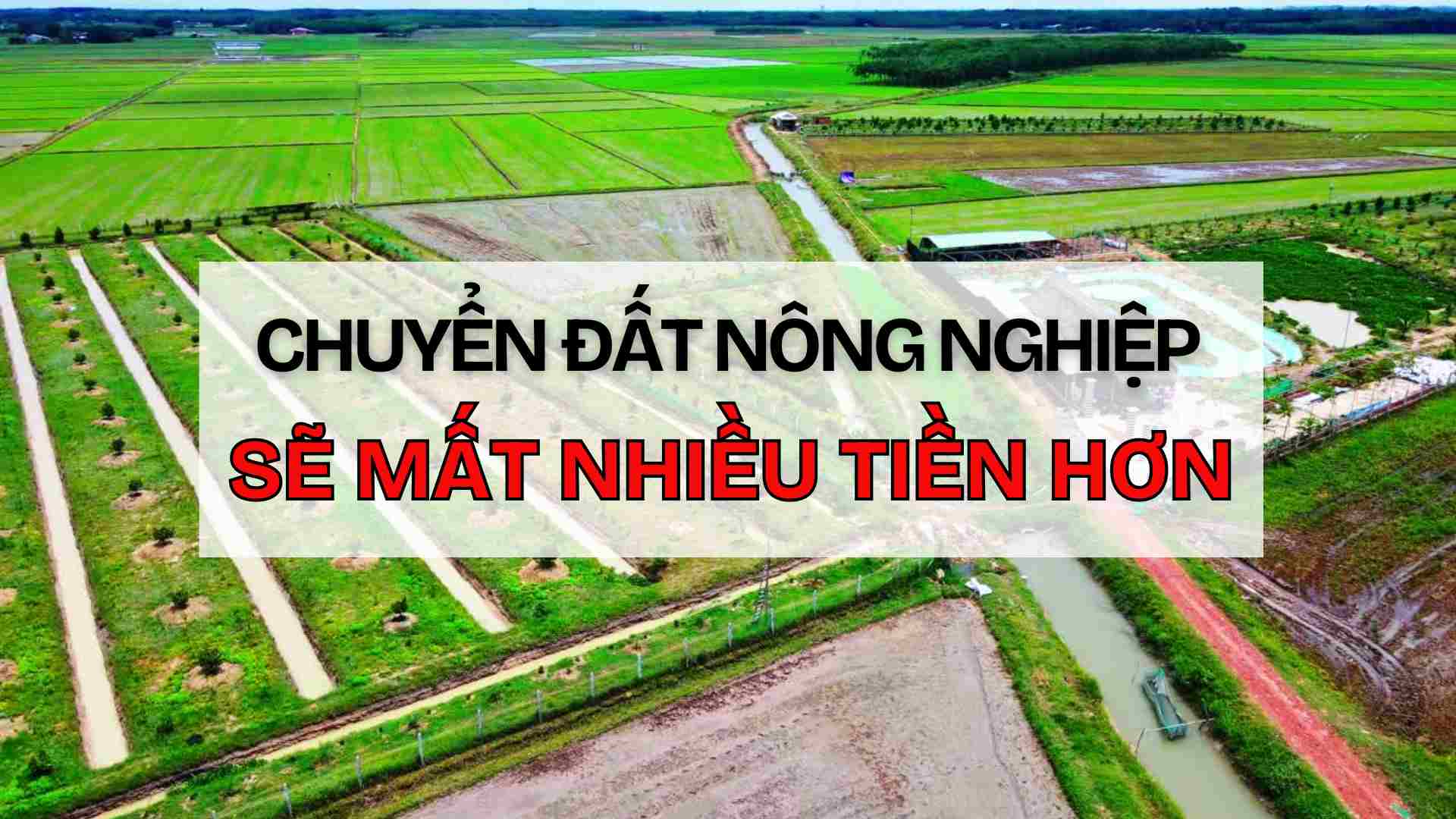 Mover tierras agricolas a tierras residenciales es mas facil, pero perdera mucho dinero. Grafico: Thach Lam