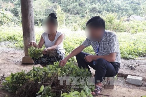 Trước ngày 30.6 có báo cáo phương án bố trí sắp xếp với 55 trí thức trẻ