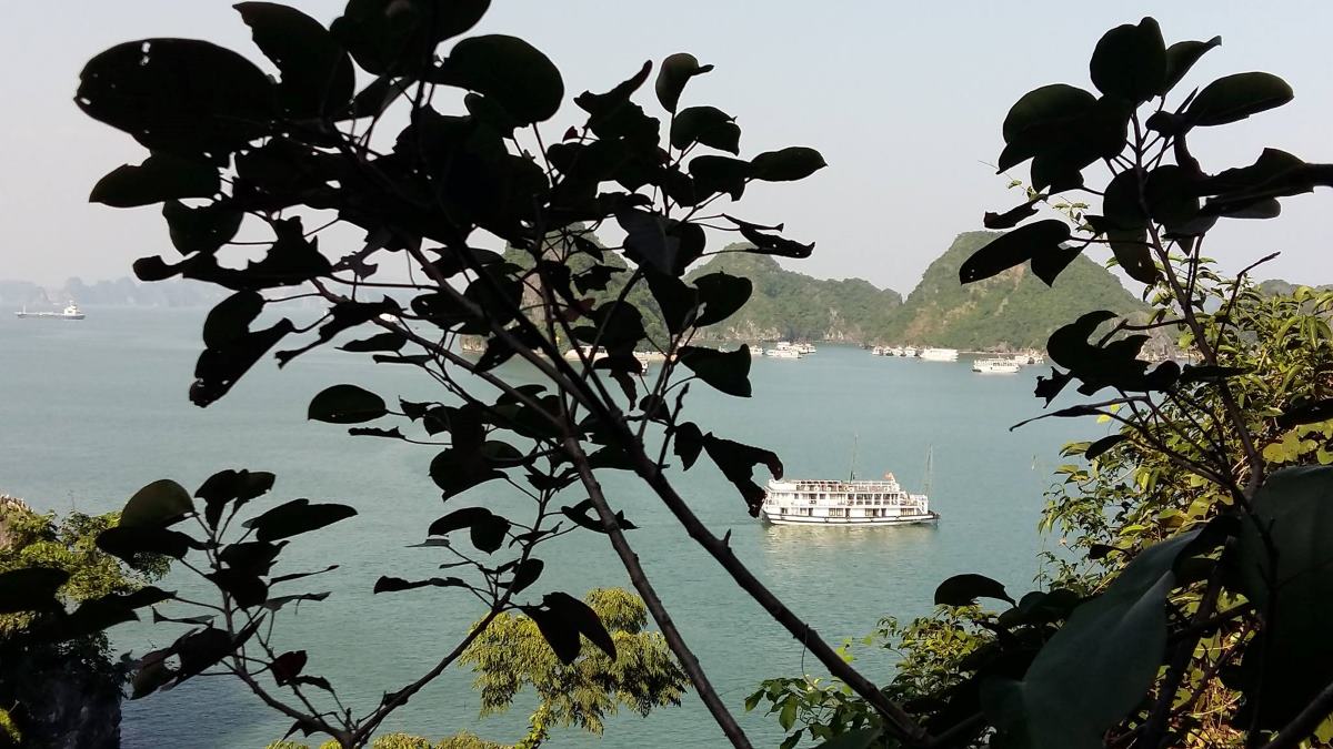 Viajes de viajes en Ha Long Bay. Foto: Nguyen Hung