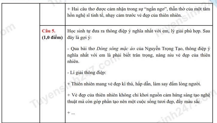 Dap an tham khao mon Ngu van thi vao lop 10 tinh Soc Trang nam 2025. Anh: Tuyensinh247