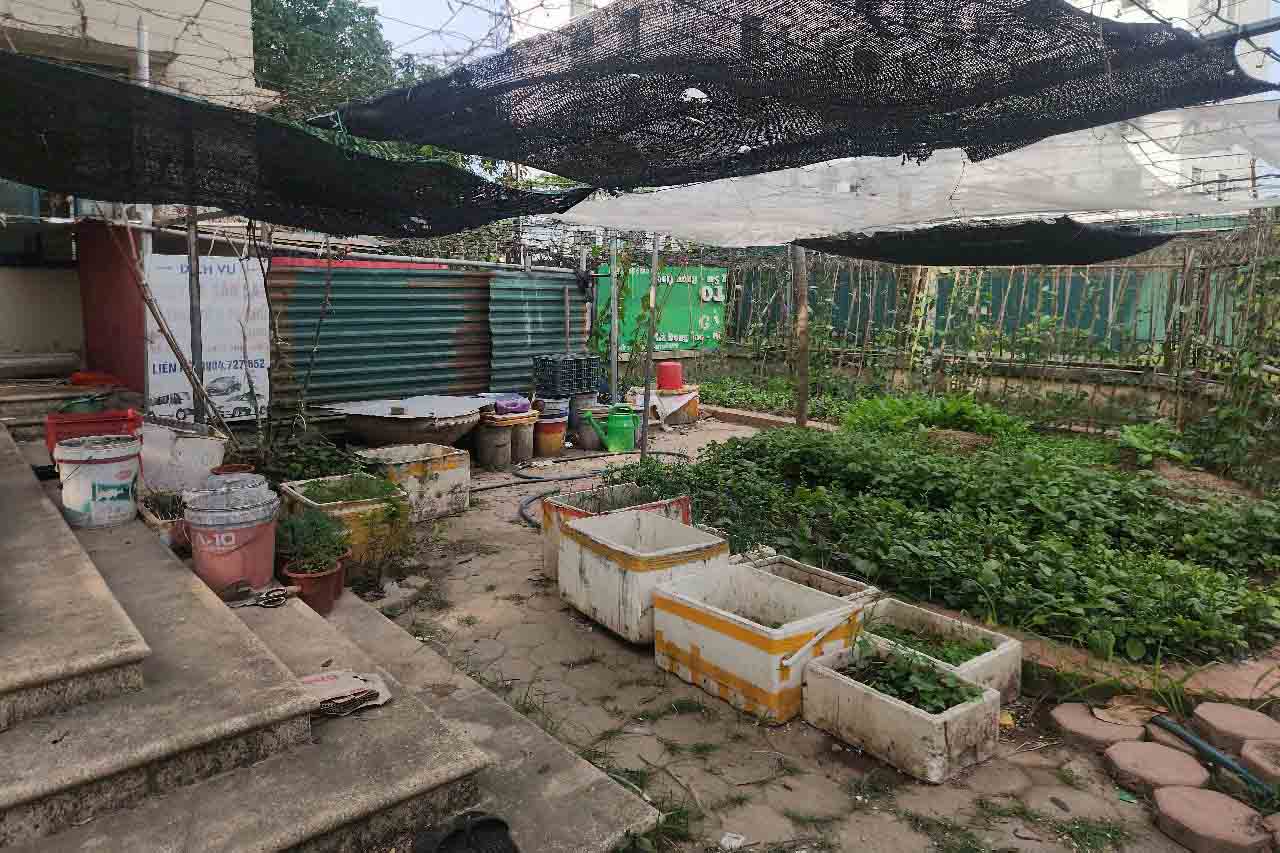 Nhà tái định cư bỏ hoang trở thành nơi trồng rau. Ảnh: Minh Hạnh
