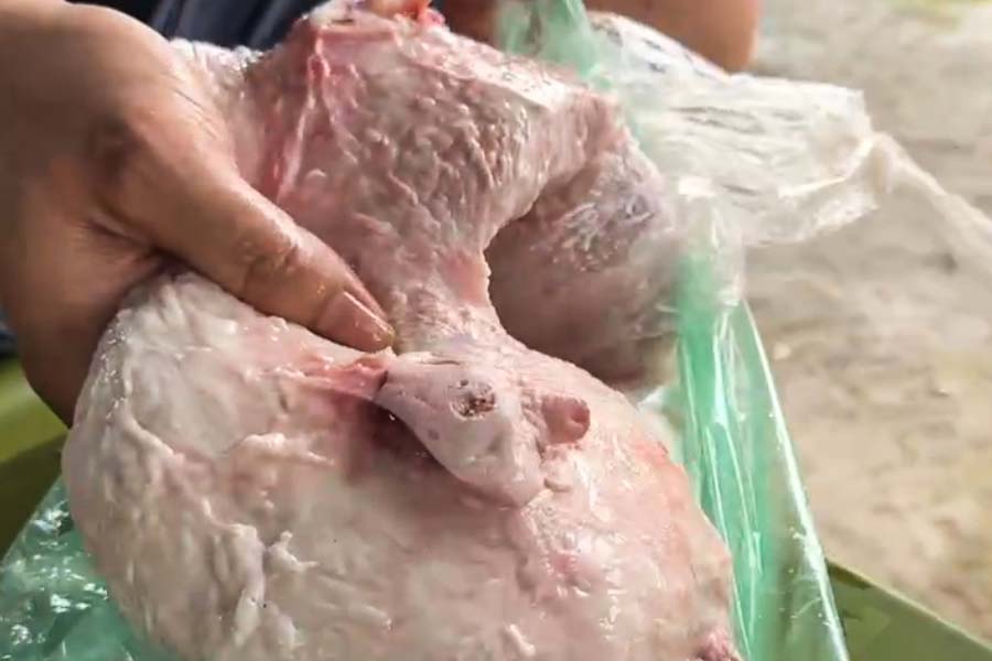 Linh dung tay tran cam dai nam lon quang cao ve chat luong san pham. Anh: NHOM PV
