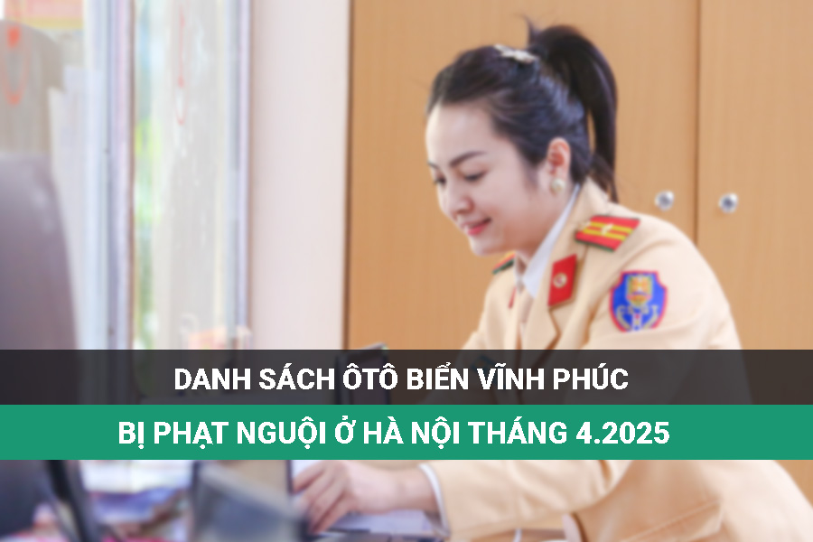 El propietario de la matricula de la provincia de Vinh Phuc llego a la policia para manejar sanciones frias
