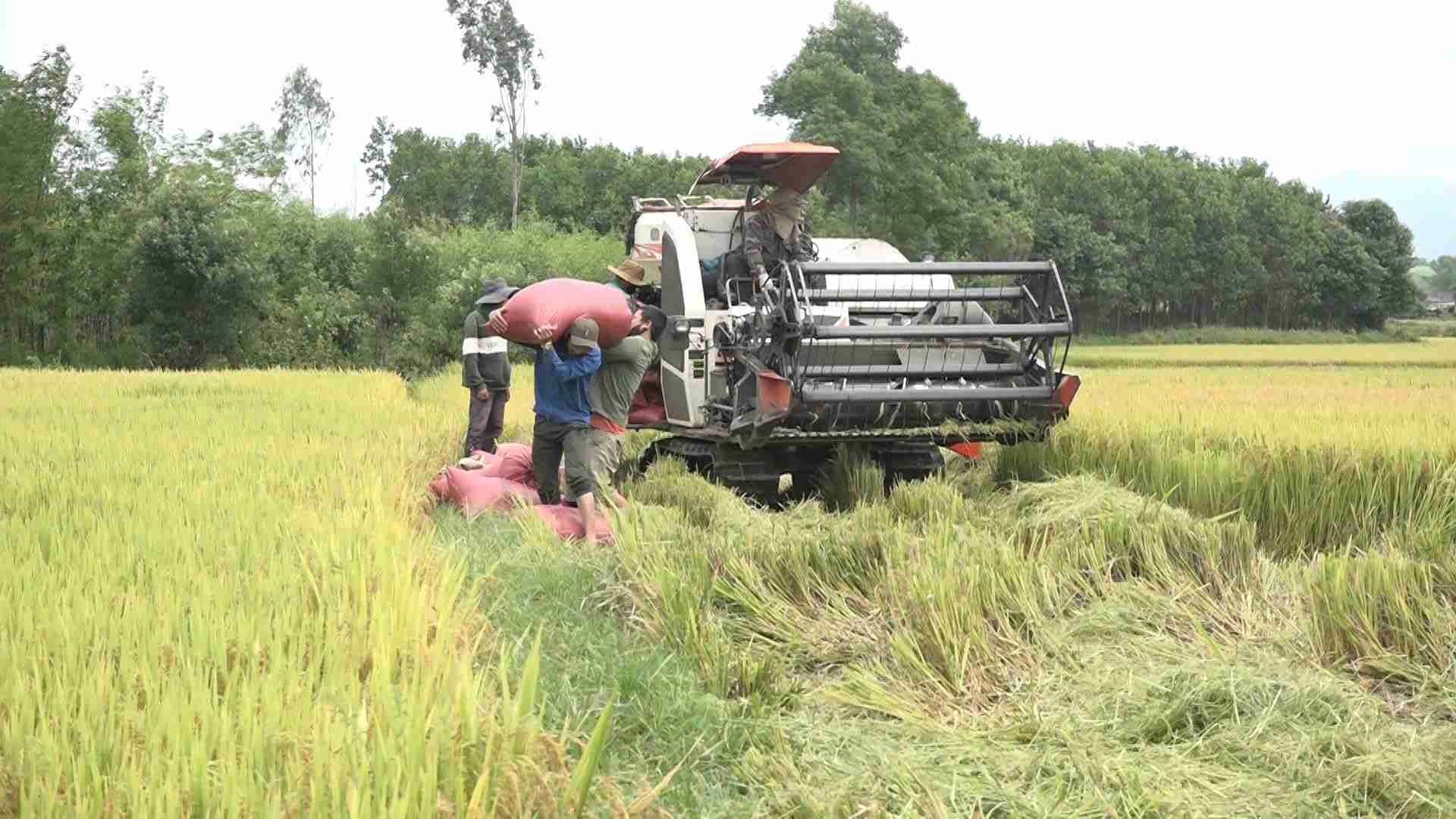 Nhieu ho ngheo, can ngheo o huyen M'Drak da co doi song tot hon. Anh: Bao Trung
