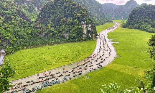 Tuần Du lịch Ninh Bình 2025, diễn ra từ 23 - 31.5, với chủ đề "Sắc vàng Tam Cốc - Tràng An". Ảnh: Nguyễn Trường