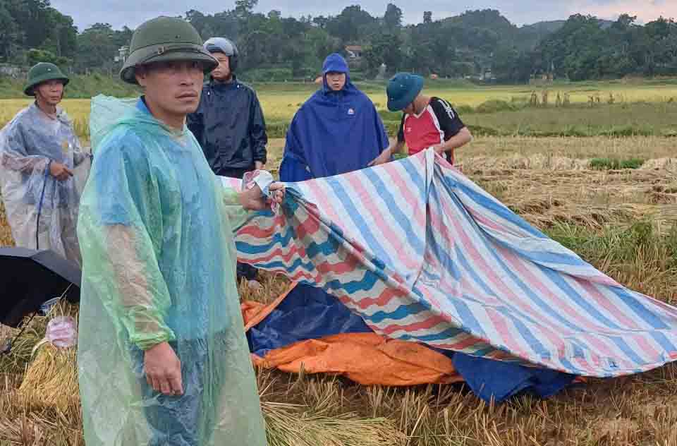 The scene where Mr. T was beaten to death by lightning while picking rice. Photo: Vu Tuan.