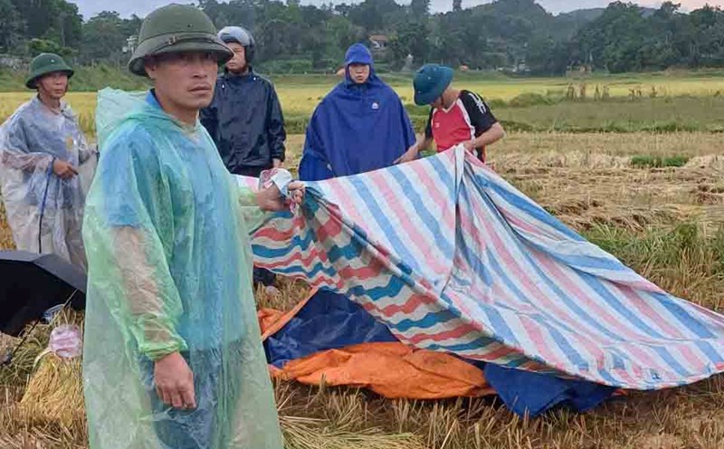 The scene where Mr. T was beaten to death by lightning while picking rice. Photo: Vu Tuan.