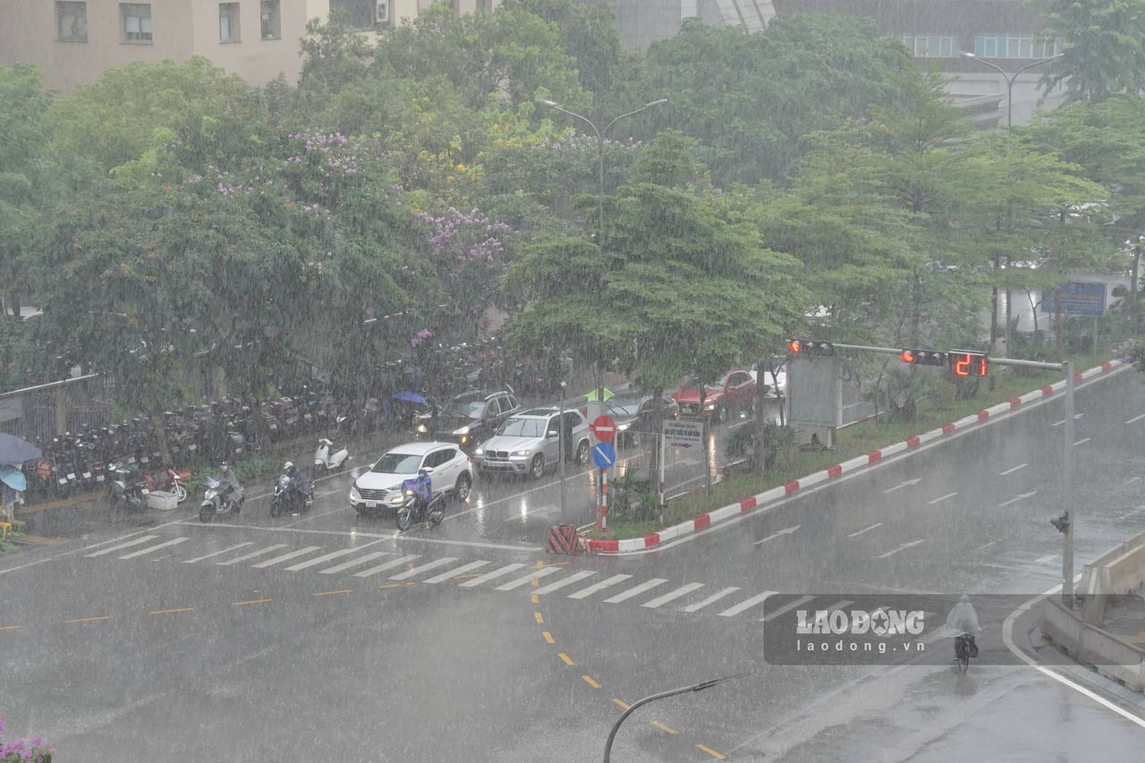 Hanoi se puso fuerte lluvia a partir de las 10 a.m. de esta mañana (23.5). Foto: Vu Linh