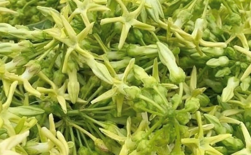 This is a flower that is good for the liver and kidneys when processed and used in the right amount in the diet. Photo: Kieu Vu