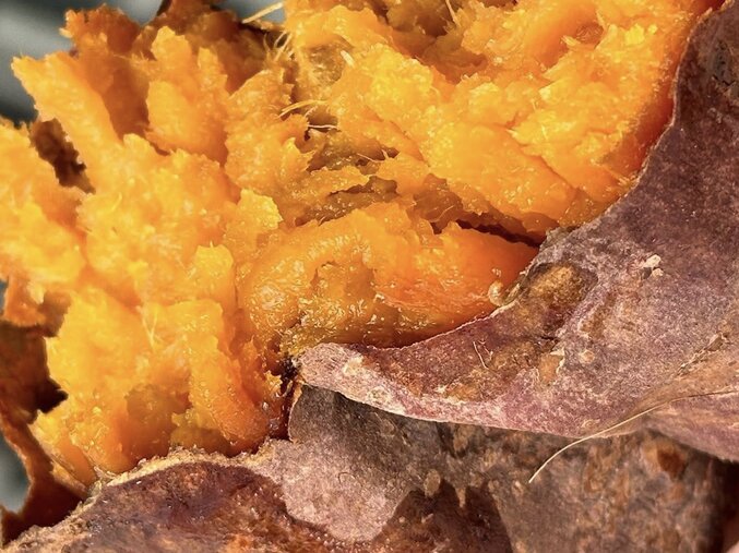 Al comer en la dosis correcta, las batatas pueden soportar a las personas con diabetes y perder peso. Foto: Kieu Vu