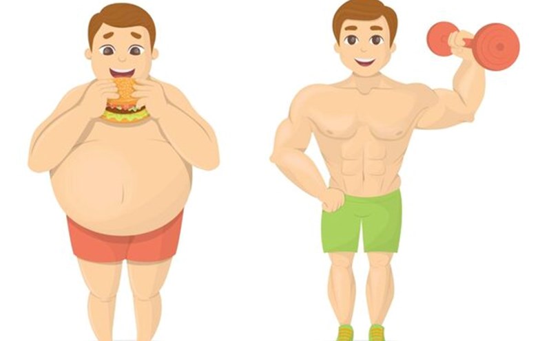 Muscle is heavier than fat. Graphics: Thuy Duong