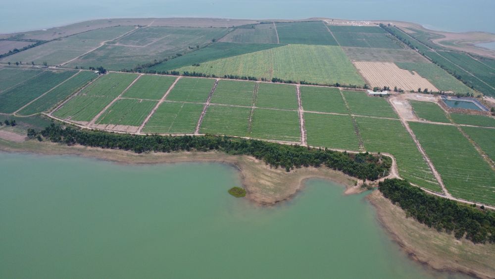 Binh Duong is planning to build an eco-tourism area in Dau Tieng district. Photo: Dinh Trong