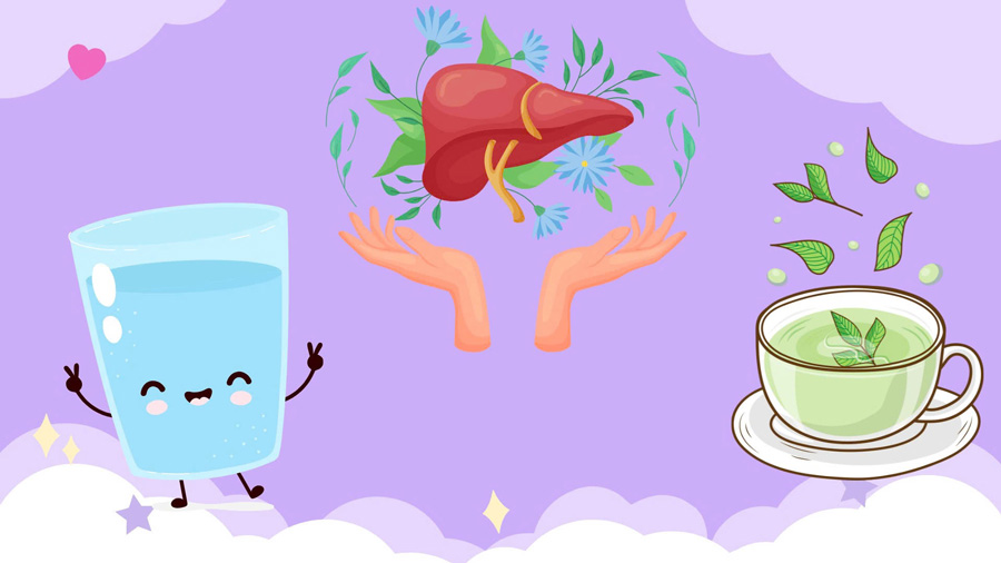 Las bebidas que son buenas para el higado y los riñones no deben ignorarse