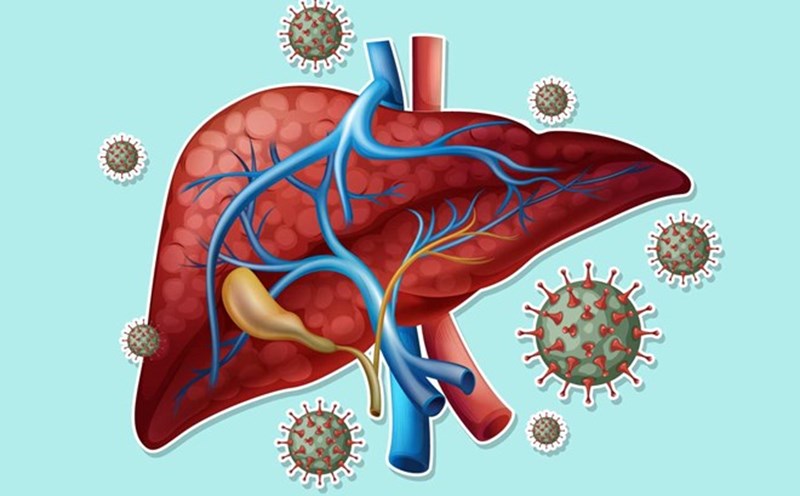 6 cách đơn giản giúp thải độc gan mỗi ngày